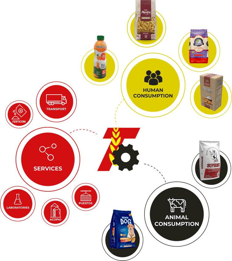 Products and Services