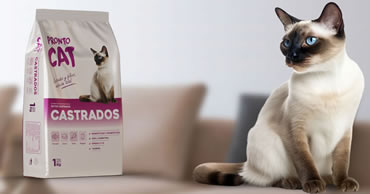 Nadie cuida mejor que usted a su gato.