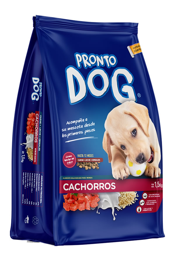 Cachorros